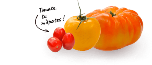 tomate-tu-mepates-1